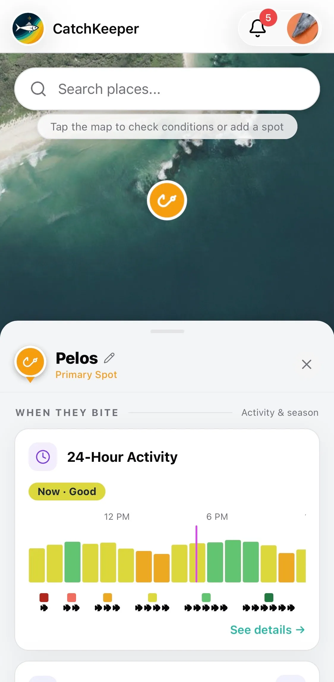 CatchKeeper app — Forecast • North Head • Sat 06:14
