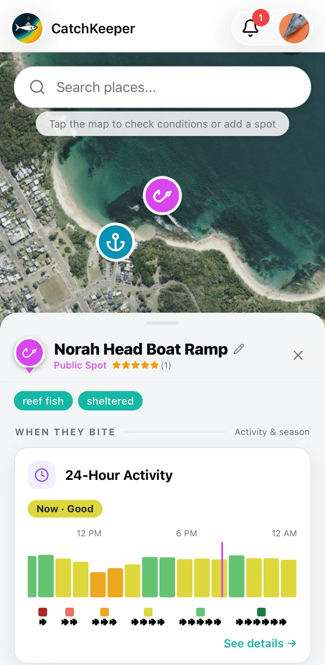 CatchKeeper app showing Soldiers Point and the 24-hour bite activity
