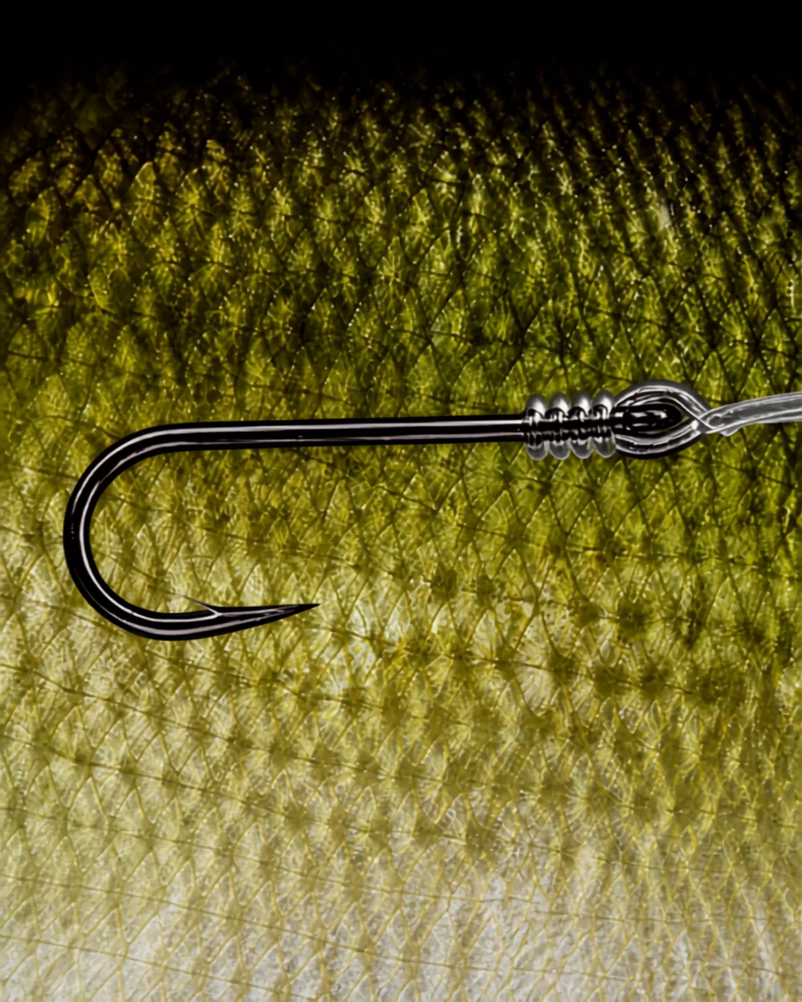 Hook — Line & reel