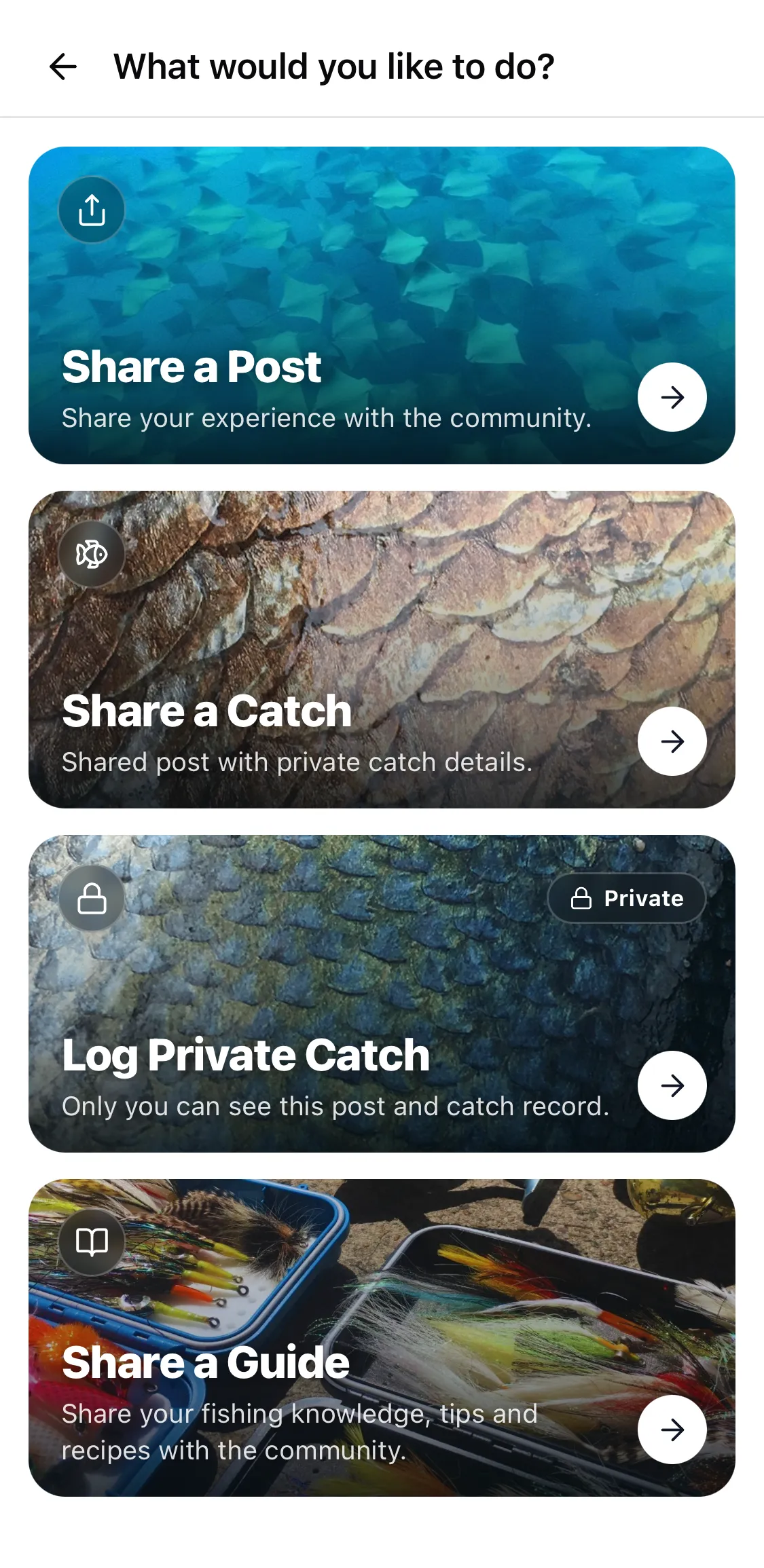 CatchKeeper app — Sharing • Per catch