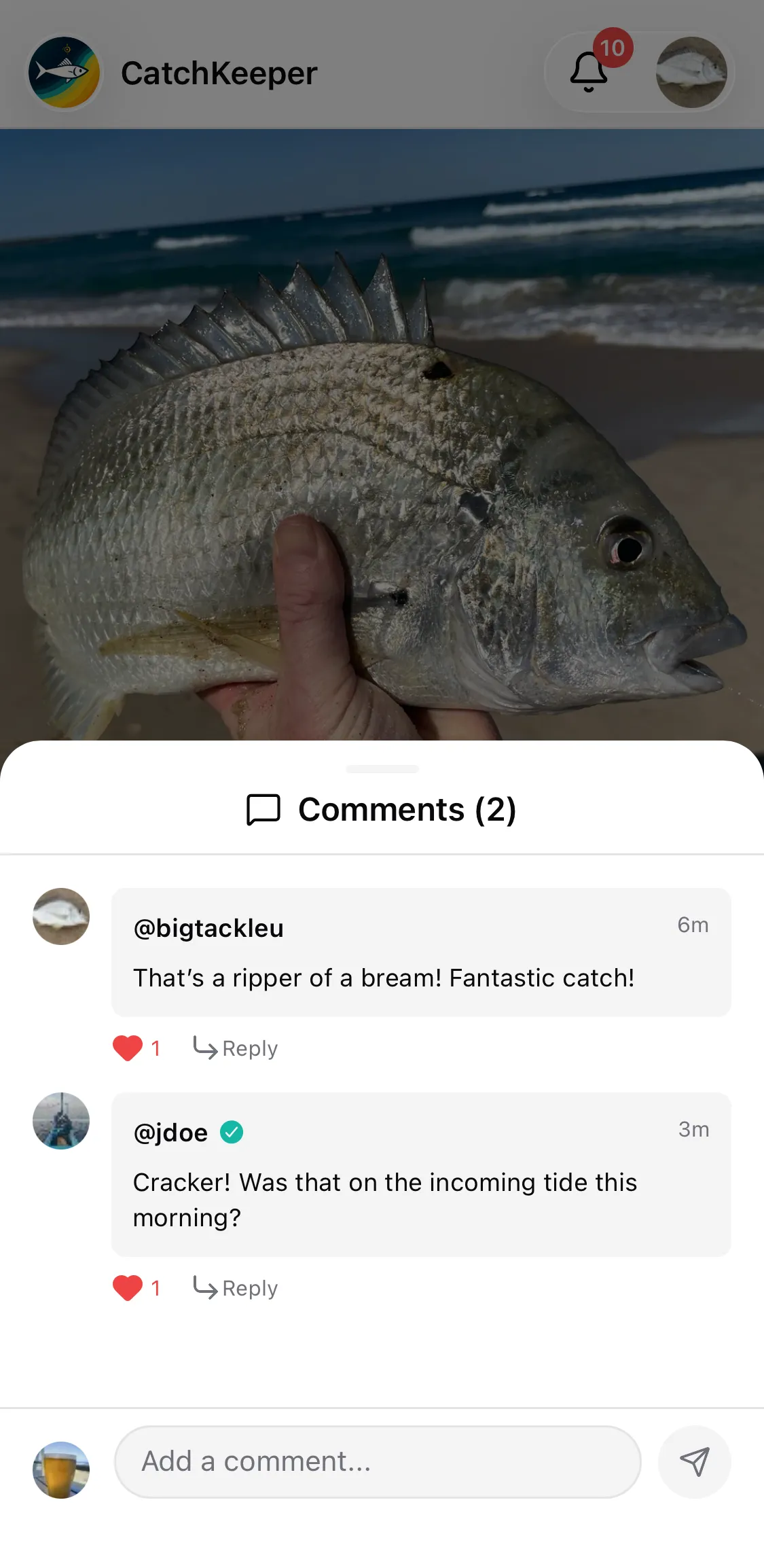 CatchKeeper app — Feed • Reactions rolling in
